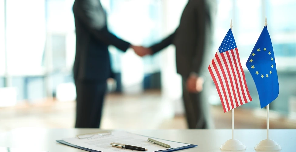 Foreign Subsidiary / Branch Setup Support