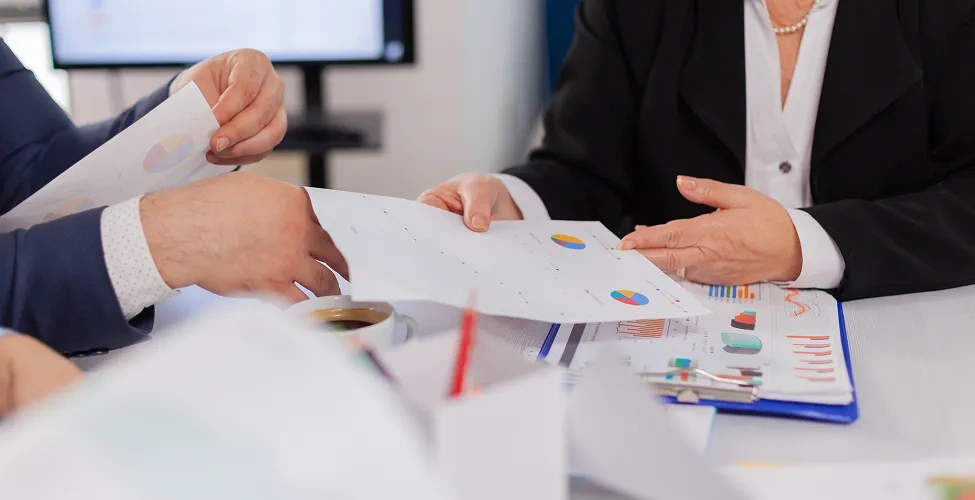 Project Financing Advisory